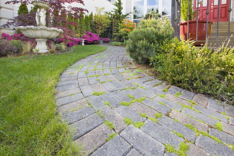 Pathway with Paver Borders